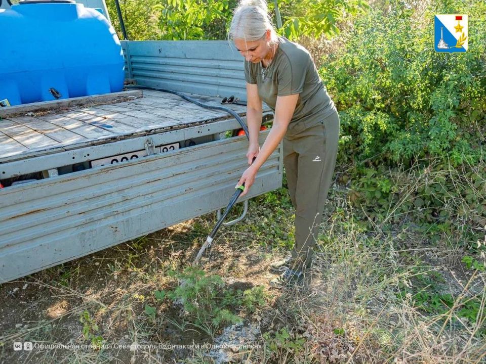 Храним «Сад Памяти». Каждую неделю сотрудники лесничества поливают 80 кедров, высаженных в память о героях Великой Отечественной войны Храним «Сад Памяти». Каждую неделю сотрудники лесничества поливают 80 кедров, высаженных в память о героях Великой Отечественной войны