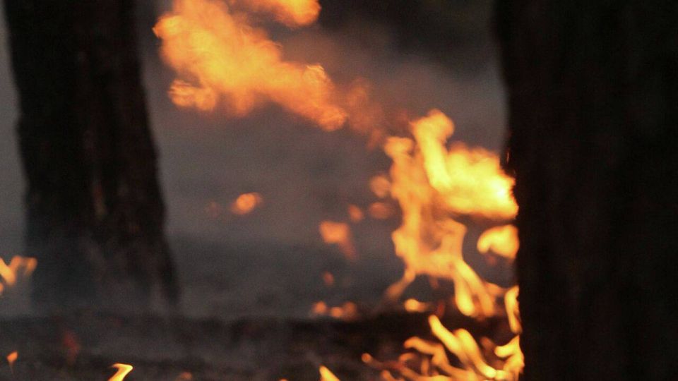 ����� � ��������� ������ ��������