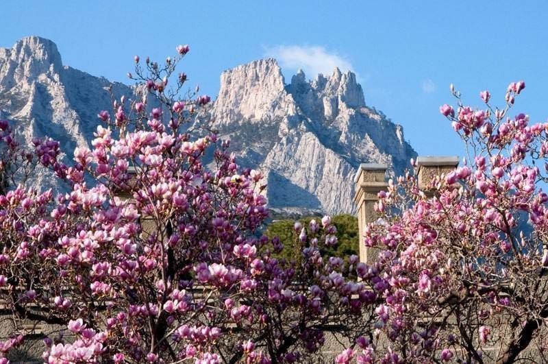 ����� ��������: � ���� ������, ���������� ������!