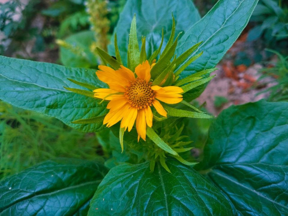 � ������ �����, �������!. ����� ���� ���� ������� ������ ������� ������! ������� � �������� ��������, t +33, ����� ���������