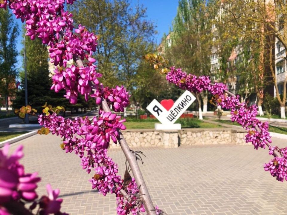 ����� ��������: ������� ������ � ����� �������!