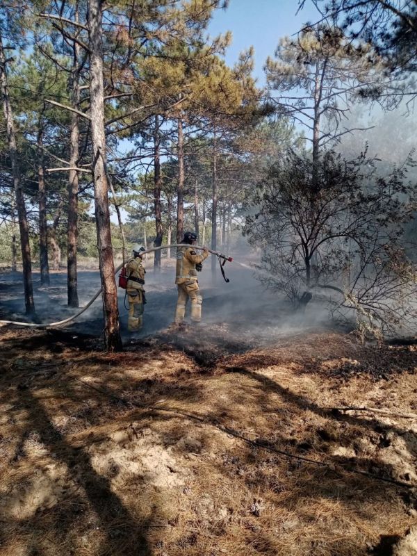 � ��������� ������ ���������� ��� ���������� ���� � ����������� ��������������� ������ ������������� ���������� ������ ���������