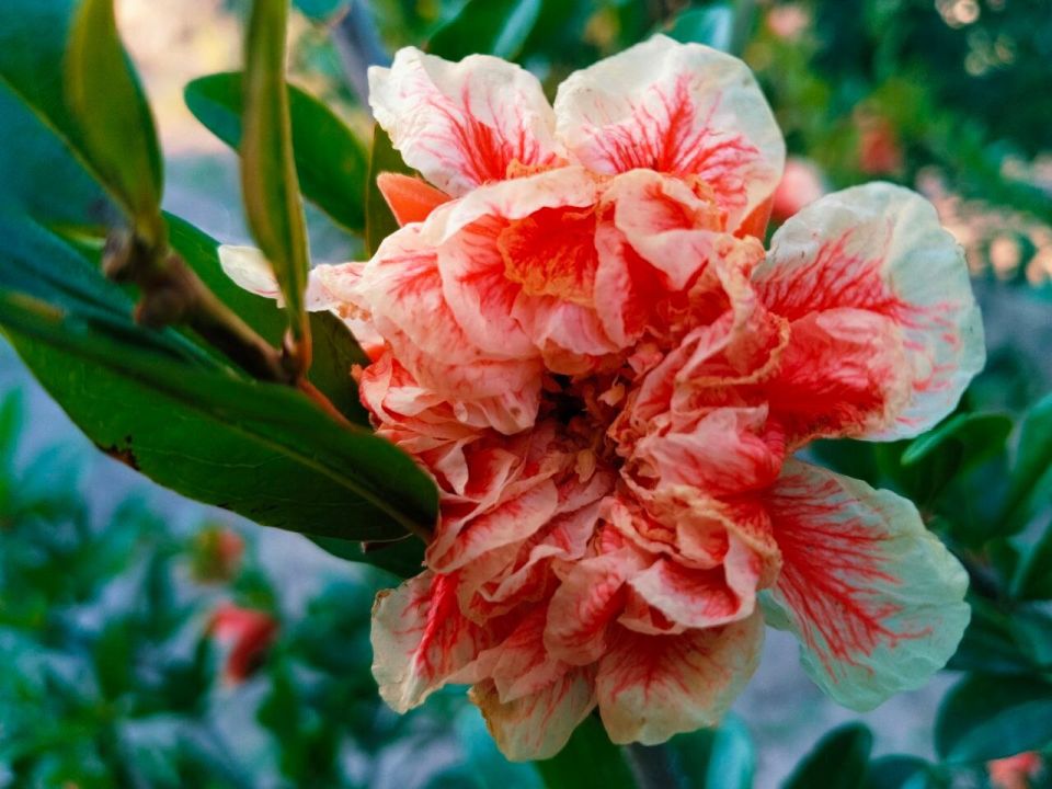 � ������ �����, �������!. ����� ���� ��� �������, ��� ����� �������� � ������! ������� � �������� ��������, t +33, ����� ���������