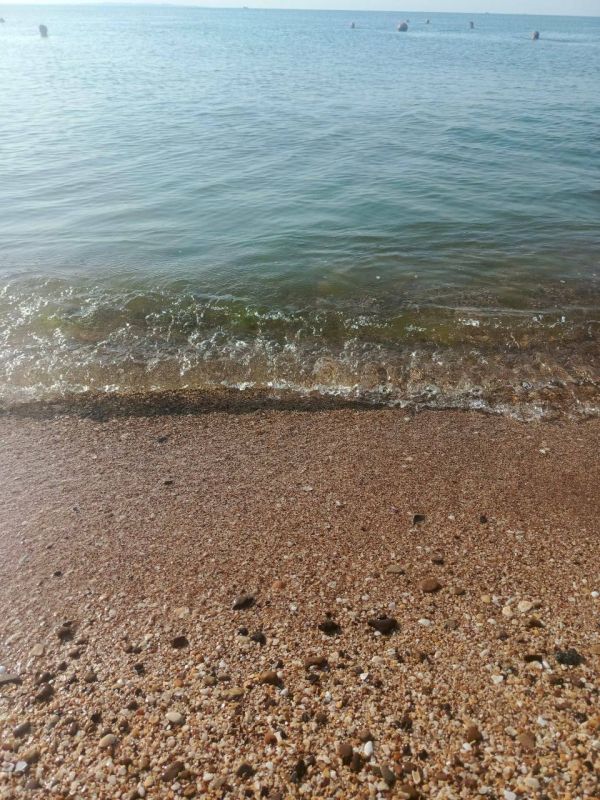 ����������� ������� ���� �� �������� ������, 27 ����