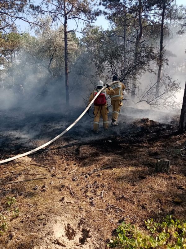 � ��������� ������ ���������� ��� ���������� ���� � ����������� ��������������� ������ ������������� ���������� ������ ���������