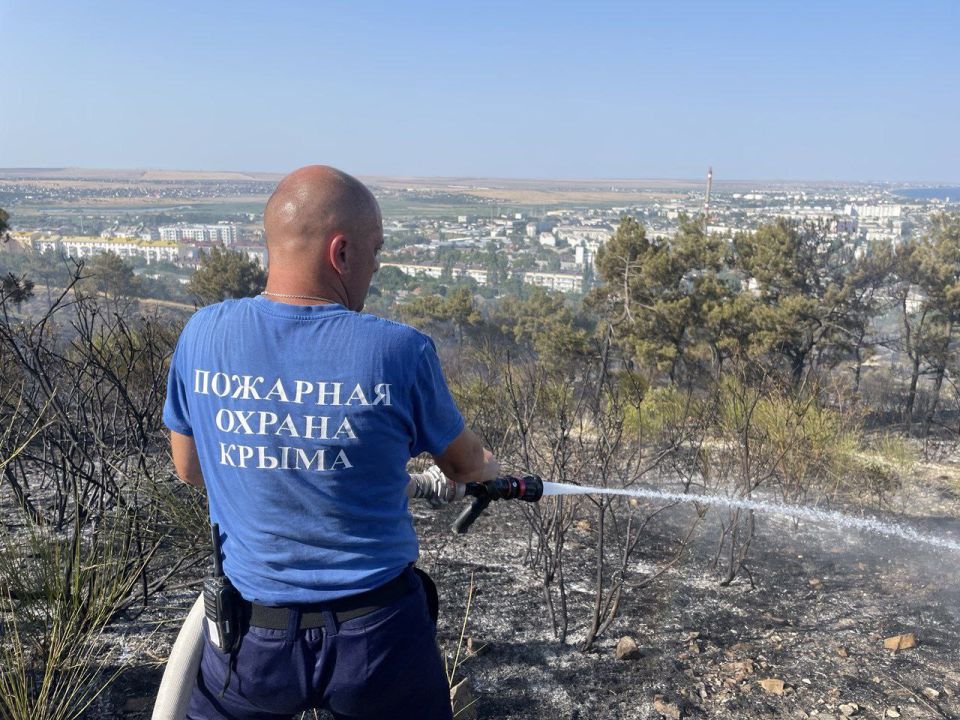 В Феодосии крымские огнеборцы тушат лесной пожар В Феодосии крымские огнеборцы тушат лесной пожар