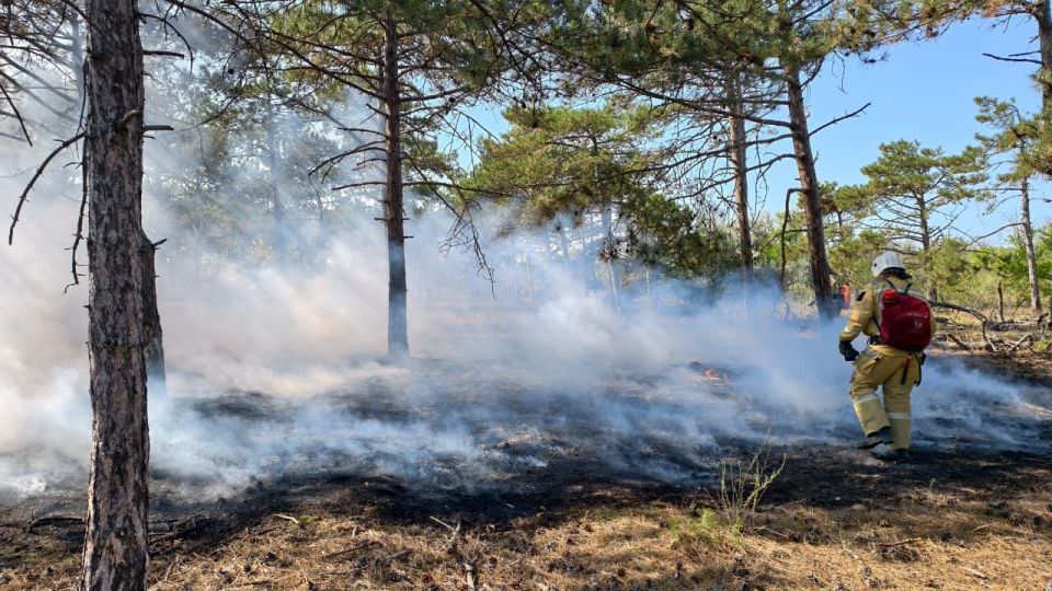 � ��������� ������ ���������� ��� ���������� ���� � ����������� ��������������� ������ ������������� ���������� ������ ���������