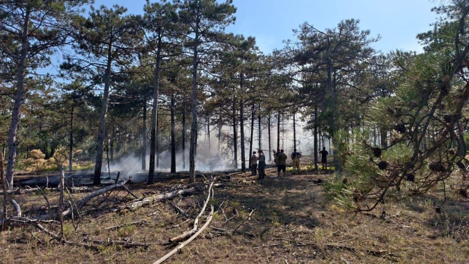 � ��������� ������ ���������� ��� ���������� ���� � ����������� ��������������� ������ ������������� ���������� ������ ���������