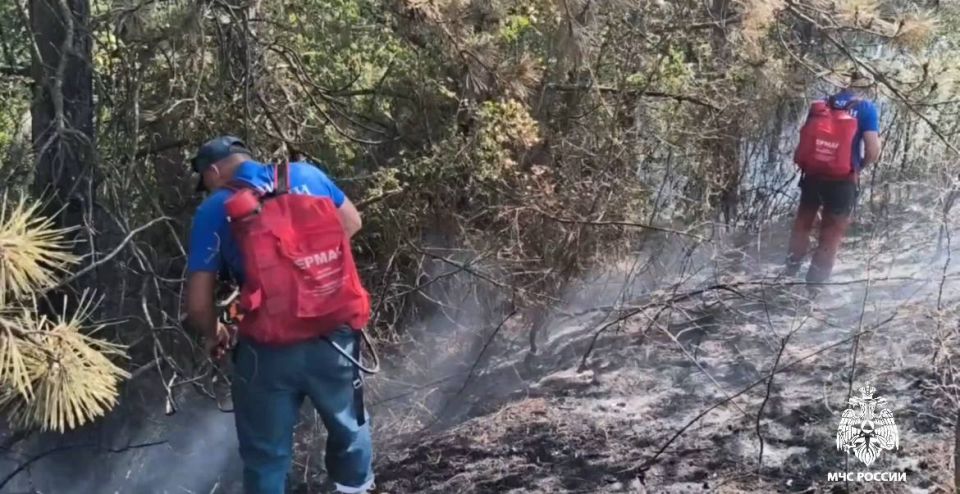 Крым в огне: на полуострове тушат одновременно несколько пожаров Крым в огне: на полуострове тушат одновременно несколько пожаров
