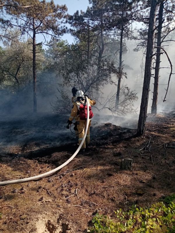 � ��������� ������ ���������� ��� ���������� ���� � ����������� ��������������� ������ ������������� ���������� ������ ���������