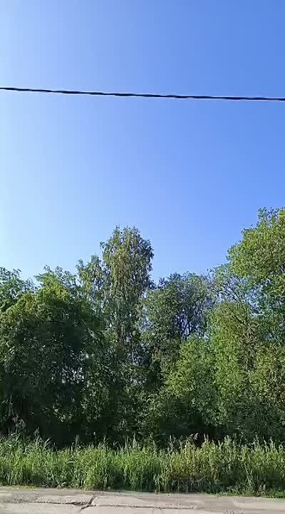      : 51      