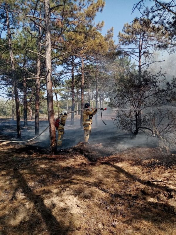 � ��������� ������ ���������� ��� ���������� ���� � ����������� ��������������� ������ ������������� ���������� ������ ���������