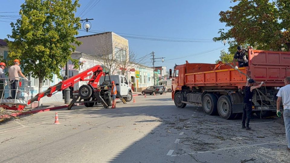 В Керчи привели в порядок зелёные насаждения в районе ул. Козлова, Борзенко и других микрорайонах города В Керчи привели в порядок зелёные насаждения в районе ул. Козлова, Борзенко и других микрорайонах города