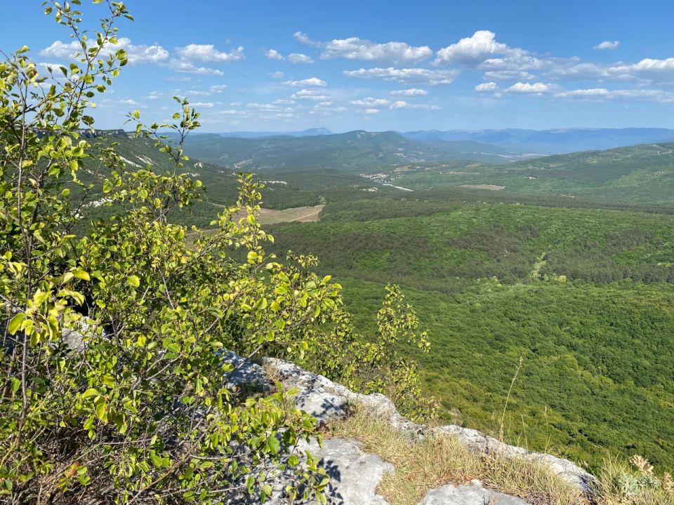 ������� ������ � ����� �� 28 ����