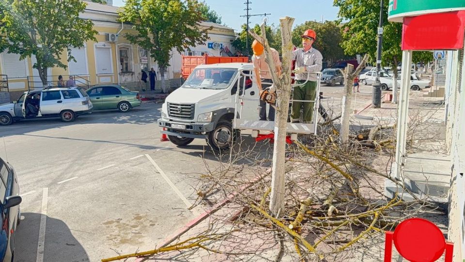 В Керчи привели в порядок зелёные насаждения в районе ул. Козлова, Борзенко и других микрорайонах города В Керчи привели в порядок зелёные насаждения в районе ул. Козлова, Борзенко и других микрорайонах города