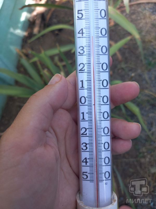 ����� � ����������� ����������� ������� ��������� ������� ����������� ���������� ����� ��� �� 9 ��������