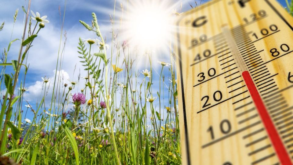 ��������! ���������-������ ������!