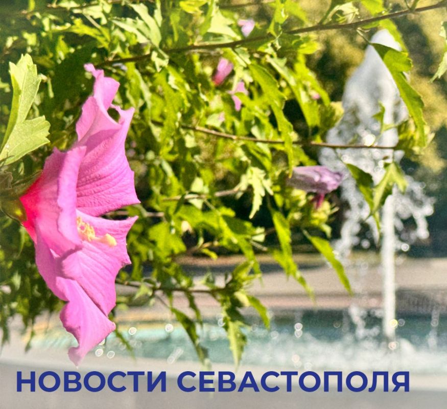 Михаил Развожаев: Итоги минувших выходных:. В воскресенье Севастополь отпраздновал День Военно-Морского Флота