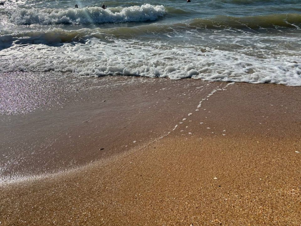 ����������� ������� ���� �� �������� ������, 28 ����