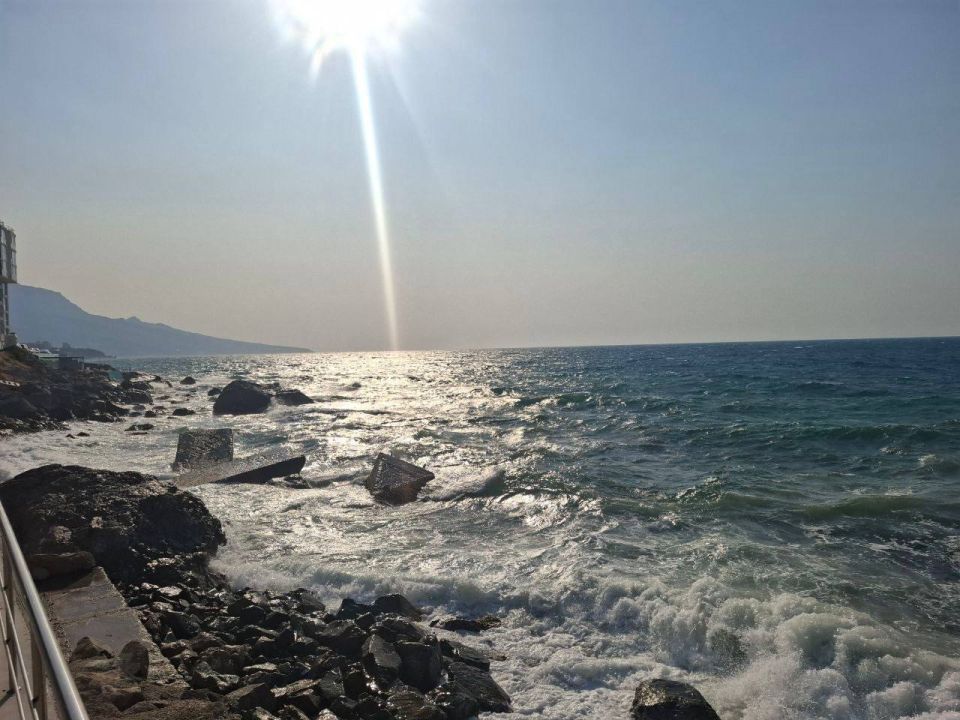 ����������� ������� ���� �� �������� ������, 28 ����