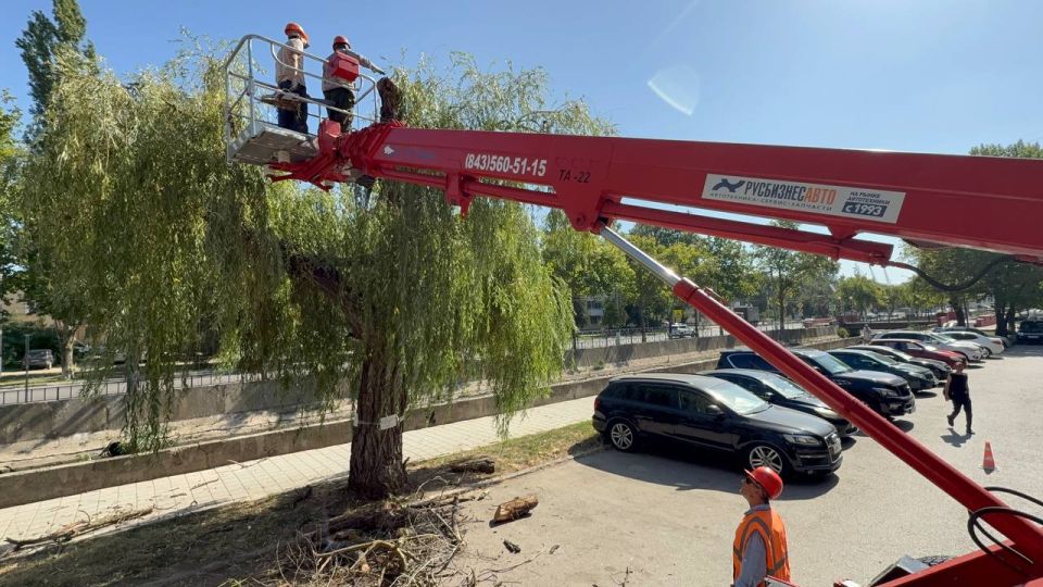 В Керчи привели в порядок зелёные насаждения в районе ул. Козлова, Борзенко и других микрорайонах города В Керчи привели в порядок зелёные насаждения в районе ул. Козлова, Борзенко и других микрорайонах города