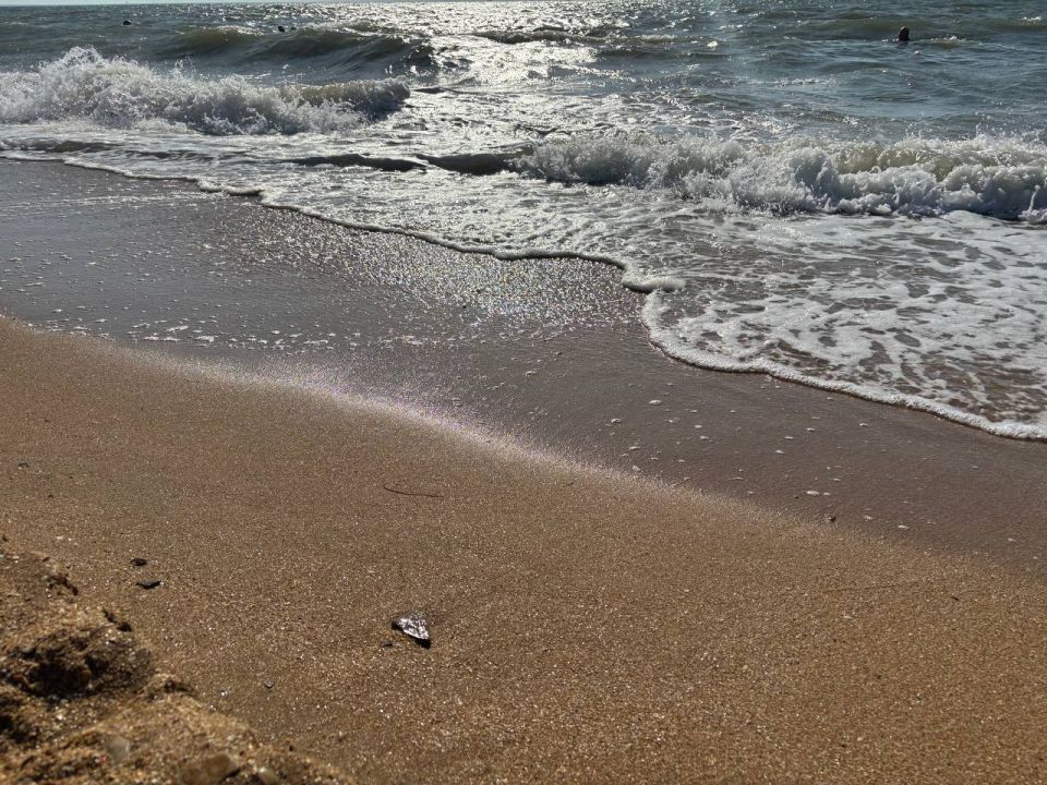 ����������� ������� ���� �� �������� ������, 28 ����