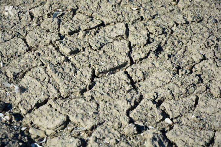 � ���� ���� ��������� ������ ��������������� ������� ��� �������� �������������������� ������� ��-�� ���� ��������: ���� ����, ��� � ���� ����� ��� ����� �������� ����������, ��� �������� ��������� ��������� ������, �������...