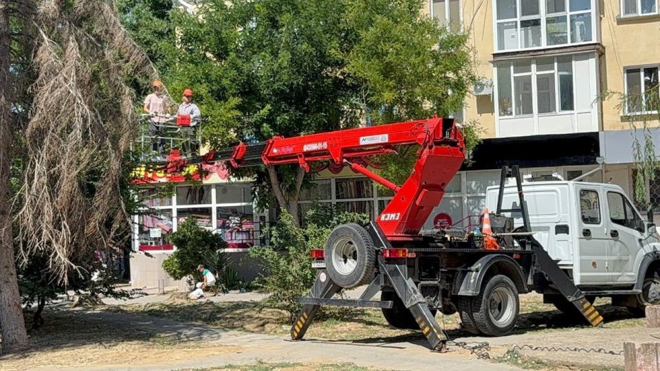 В Керчи привели в порядок зелёные насаждения в районе ул. Козлова, Борзенко и других микрорайонах города В Керчи привели в порядок зелёные насаждения в районе ул. Козлова, Борзенко и других микрорайонах города
