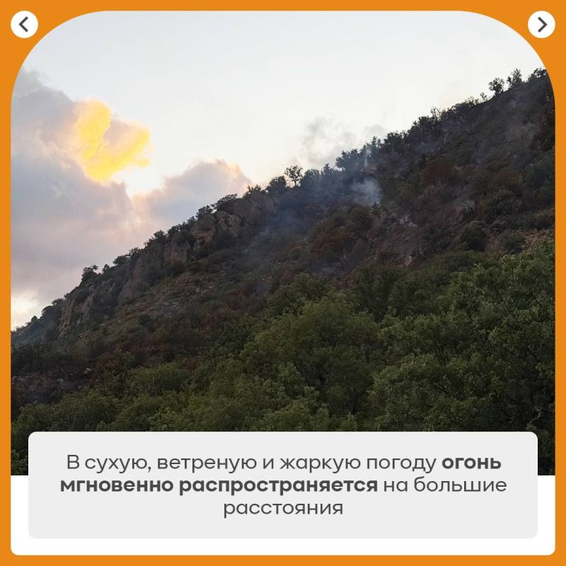 Ольга Шевцова: Ещё раз хочу напомнить всем о важности соблюдения правил пожарной безопасности в лесах и на особо охраняемых природных территориях Ольга Шевцова: Ещё раз хочу напомнить всем о важности соблюдения правил пожарной безопасности в лесах и на особо охраняемых природных территориях
