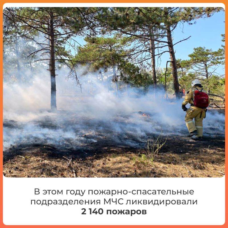 По данным Крымского управления по гидрометеорологии и мониторингу окружающей среды, с 29 июля по 1 августа в западных, центральных, южных, восточных районах Крыма и в Севастополе сохранится чрезвычайная пожарная опасность По данным Крымского управления по гидрометеорологии и мониторингу окружающей среды, с 29 июля по 1 августа в западных, центральных, южных, восточных районах Крыма и в Севастополе сохранится чрезвычайная пожарная опасность