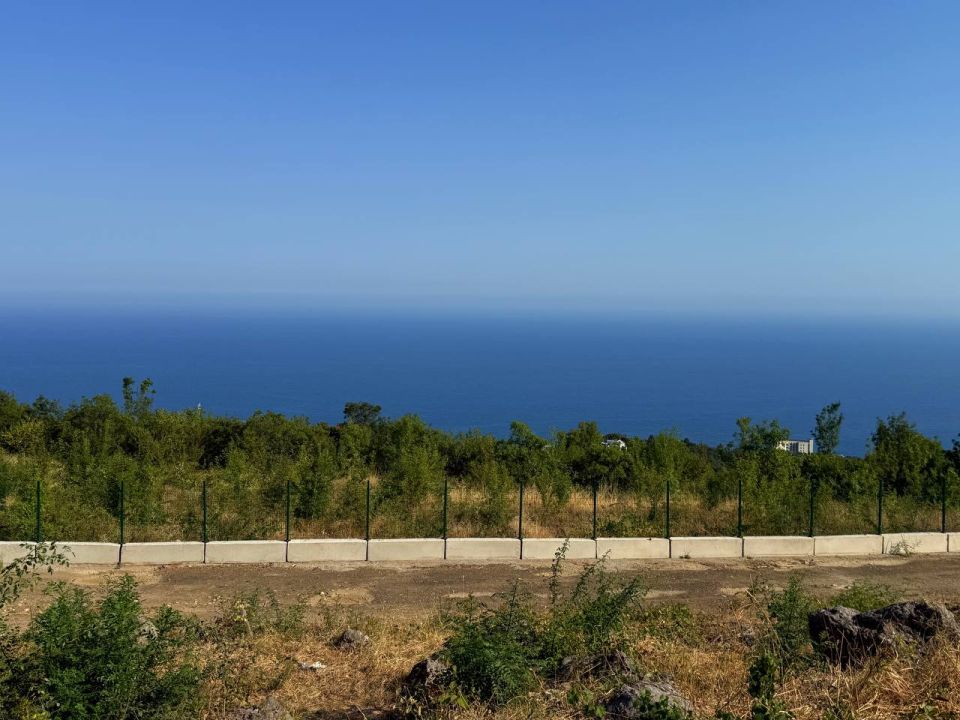 ����� ��������: ������ �������� ��� � ������ �� ������