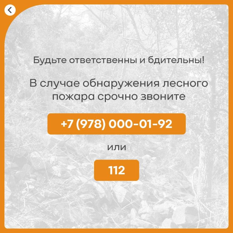 Ольга Шевцова: Ещё раз хочу напомнить всем о важности соблюдения правил пожарной безопасности в лесах и на особо охраняемых природных территориях Ольга Шевцова: Ещё раз хочу напомнить всем о важности соблюдения правил пожарной безопасности в лесах и на особо охраняемых природных территориях