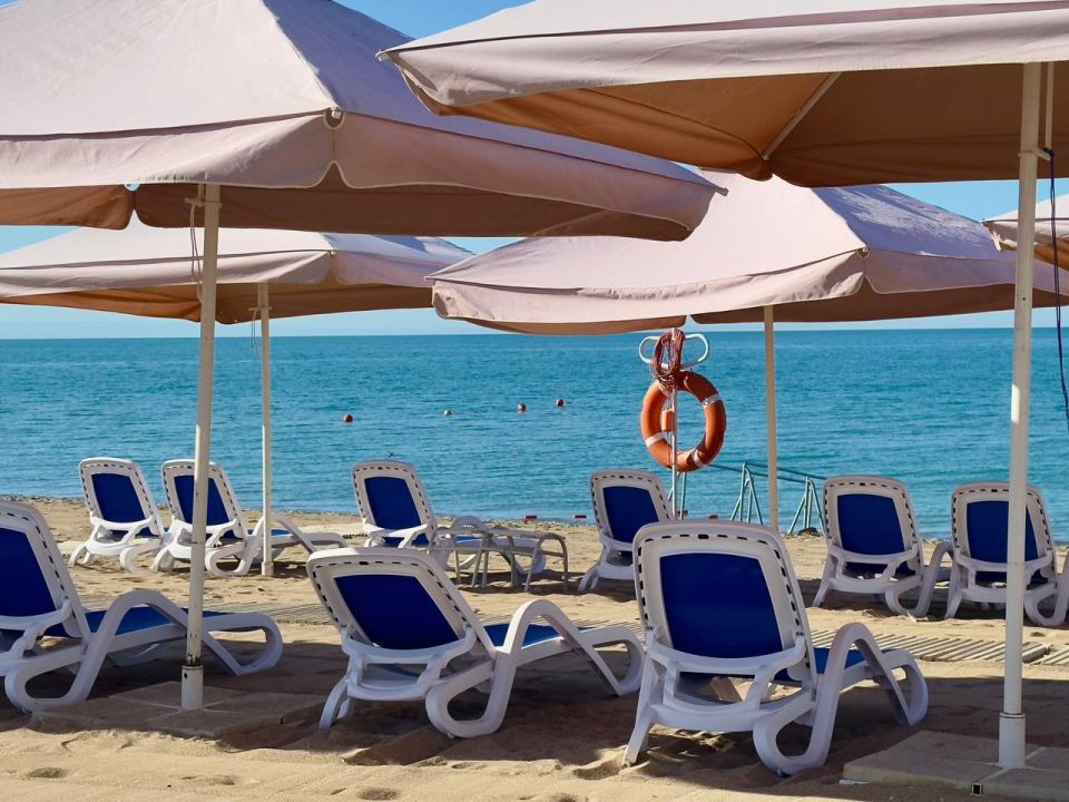 ����������� ������� ���� �� �������� ������, 29 ����