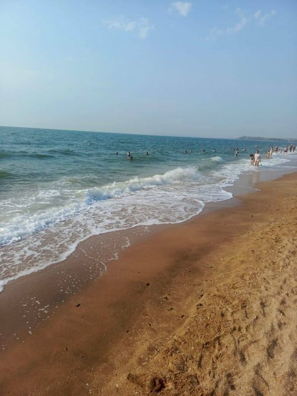 ����������� ������� ���� �� �������� ������, 29 ����