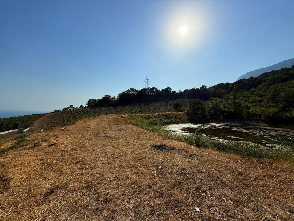 ����� ��������: ������ �������� ��� � ������ �� ������