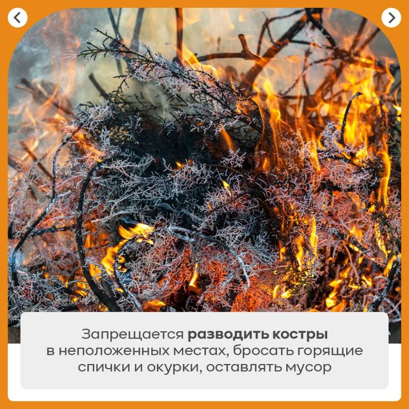 Ольга Шевцова: Ещё раз хочу напомнить всем о важности соблюдения правил пожарной безопасности в лесах и на особо охраняемых природных территориях Ольга Шевцова: Ещё раз хочу напомнить всем о важности соблюдения правил пожарной безопасности в лесах и на особо охраняемых природных территориях