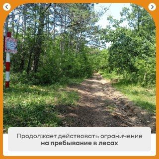 Напоминаем вам о необходимости соблюдать правила пожарной безопасности в лесах и на особо охраняемых природных территориях Напоминаем вам о необходимости соблюдать правила пожарной безопасности в лесах и на особо охраняемых природных территориях