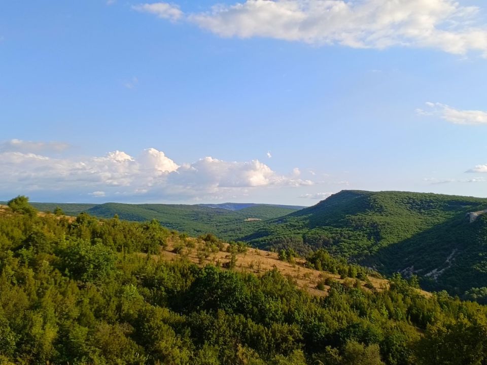 ������� ������ � ����� �� 30 ����