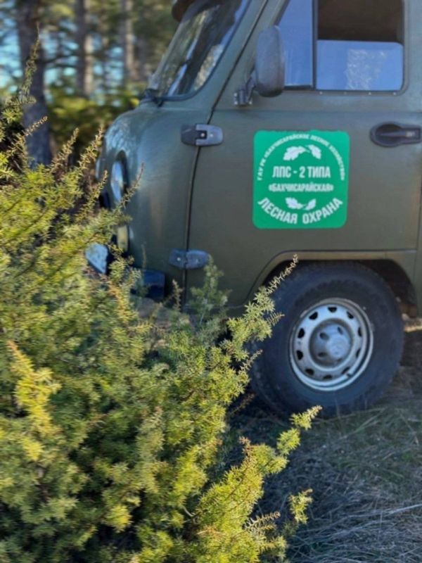 Ольга Шевцова: Опубликован Доклад о состоянии и об охране окружающей среды на территории Республики Крым в 2024 году Ольга Шевцова: Опубликован Доклад о состоянии и об охране окружающей среды на территории Республики Крым в 2024 году