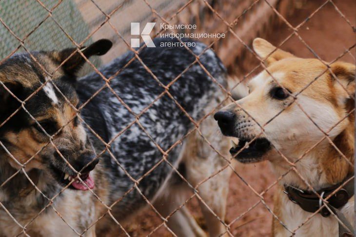 � ����� �� ������� �� ������ ������, ��������� � ������������ ��������� � ������� ���������� 3,2 ������ �������