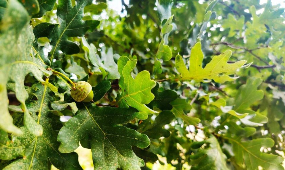 � ������ �����, �������!. ����� ���� ���� ����� ������, � ���� � ������� � ���������! ������� � �������� ��������, t +30 - +31, ����� ���-��������