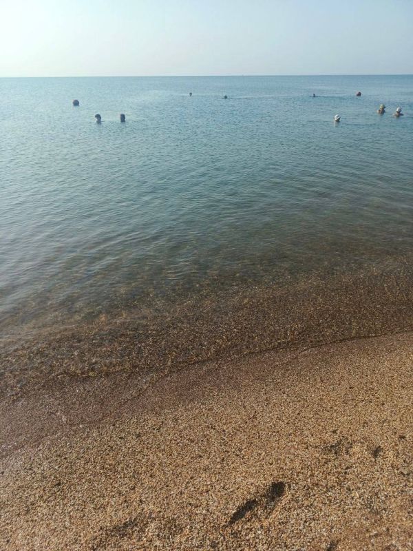 ����������� ������� ���� �� �������� ������, 30 ����