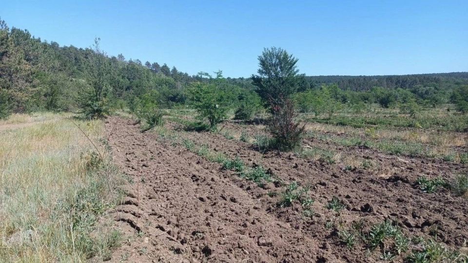 Ольга Шевцова: Опубликован Доклад о состоянии и об охране окружающей среды на территории Республики Крым в 2024 году Ольга Шевцова: Опубликован Доклад о состоянии и об охране окружающей среды на территории Республики Крым в 2024 году