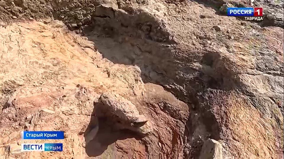 � ������ ������ ���� �������� �������� ����� ��� ��������������� ����������