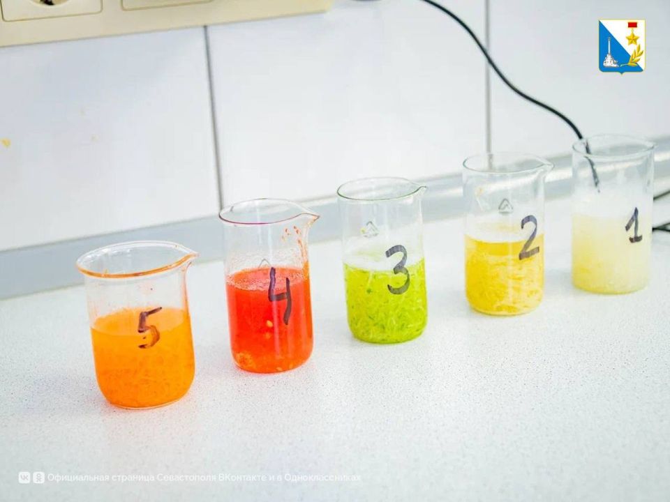 На рынке «Чайка» проверили качество продуктов На рынке «Чайка» проверили качество продуктов