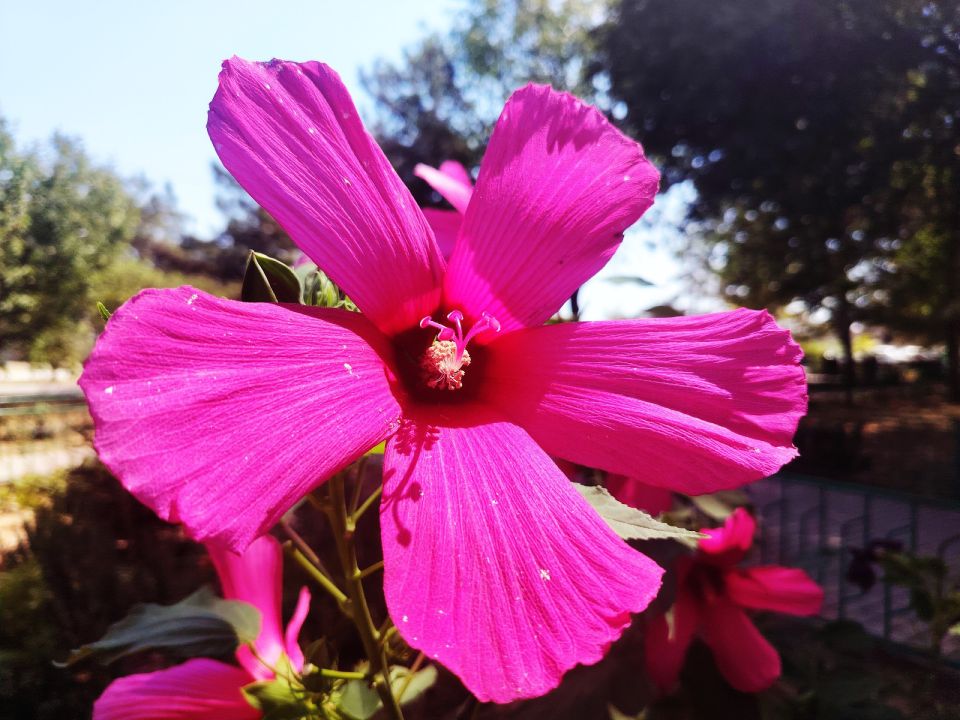 � ������ �����, �������!. ����� ���� ���� ����� ������, ���� ������, � ������� ������ ��������! ������� � �������� ��������, t + 28 - +30 , ����� ���������, ������-��������