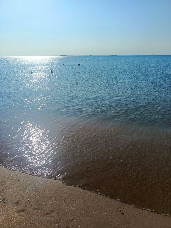 ����������� ������� ���� �� �������� ������, 31 ����