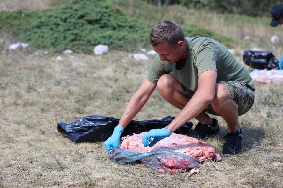 На г. Чатыр- Даг прошла подкормка краснокнижных Чёрных грифов и Белоголовых сипов На г. Чатыр- Даг прошла подкормка краснокнижных Чёрных грифов и Белоголовых сипов