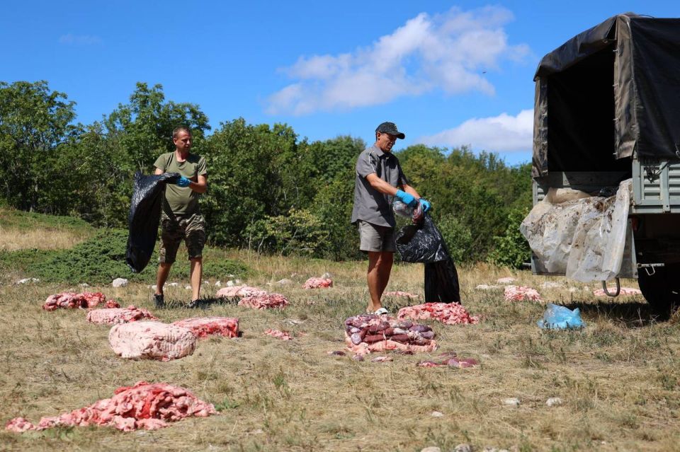 На г. Чатыр- Даг прошла подкормка краснокнижных Чёрных грифов и Белоголовых сипов На г. Чатыр- Даг прошла подкормка краснокнижных Чёрных грифов и Белоголовых сипов