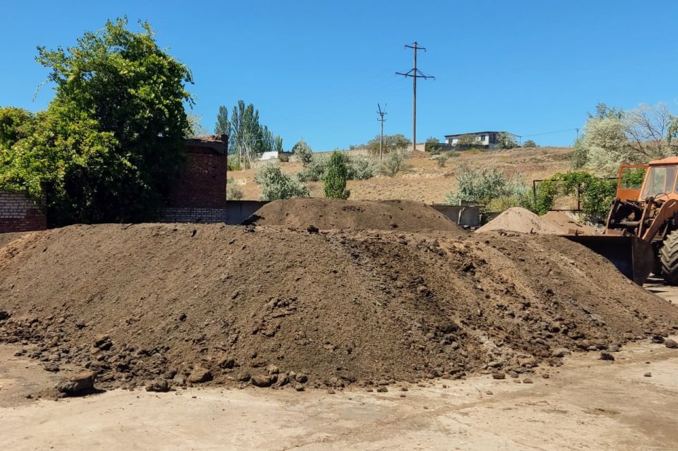  : 100  ,        ,       ,     